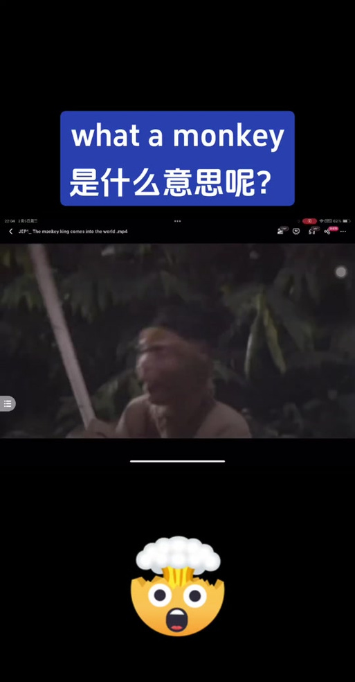 monkey视频交友