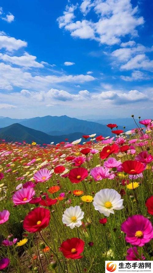 野花社区在线视频