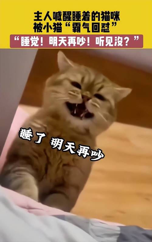 那只鲛又软又凶 电视剧免费版