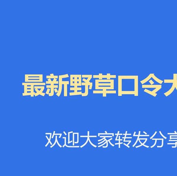 野草视频中文在线