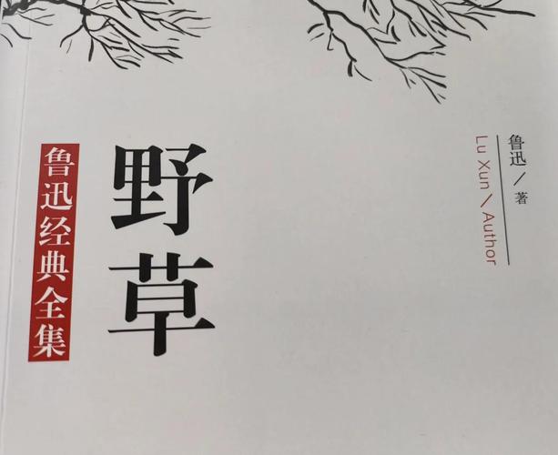 野草视频中文在线