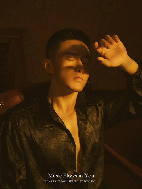 JQVISION VISIONSERIES