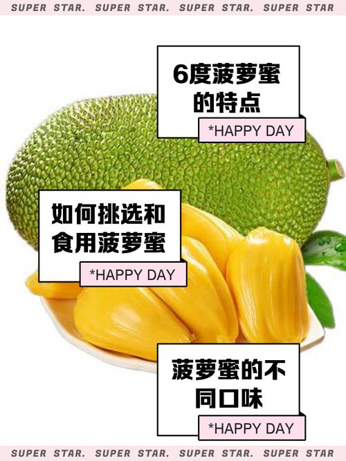 菠萝蜜麻豆一区