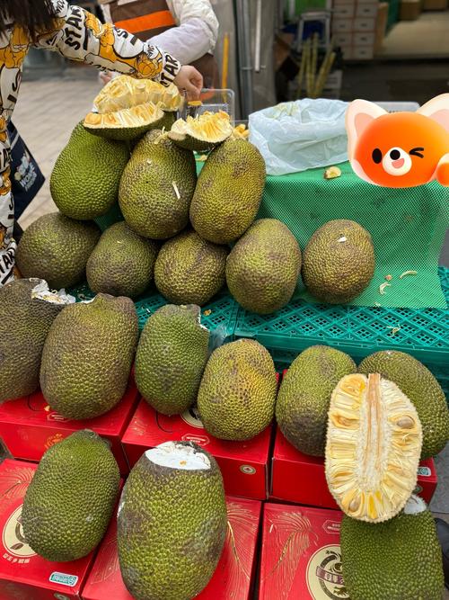 菠萝蜜麻豆一区