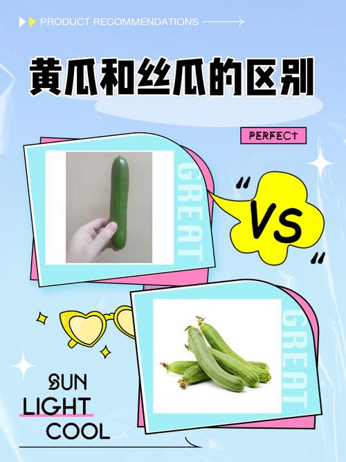 黄瓜丝瓜向日葵秋葵樱桃茄子视频