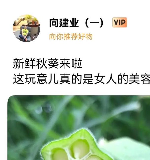 秋葵男人的加油站女人的美容院最新版