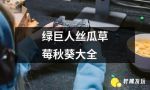 草莓丝瓜黄瓜芦荟绿巨人ios