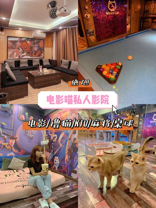 私人小影院猫影库2