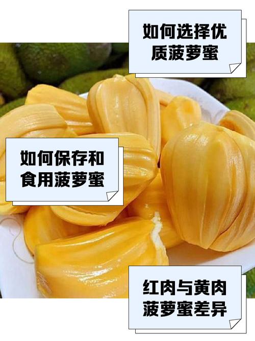 菠萝菠萝蜜菠萝菠萝5