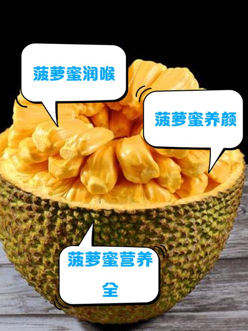 菠萝菠萝蜜菠萝菠萝5