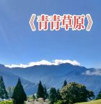 青春草原视频APP免费