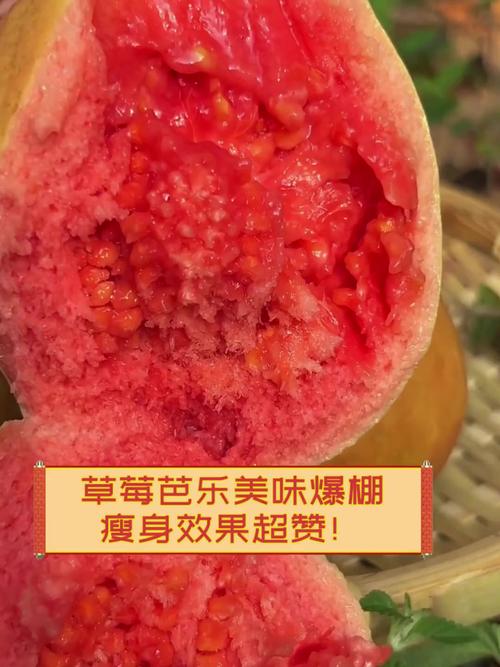 草莓丝瓜芭乐樱桃榴莲免费版