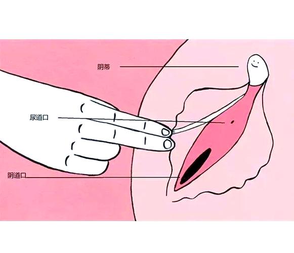 高潮爽到下面喷水的视频APP