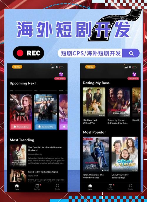 美剧鸟2020版安卓