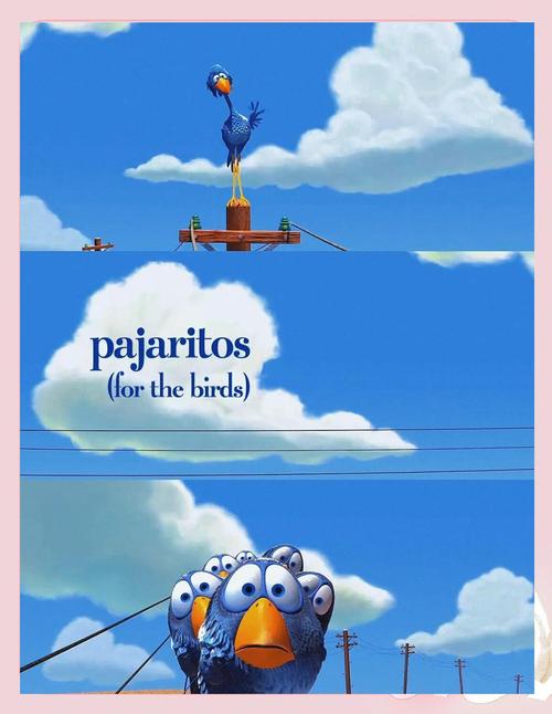 美剧鸟2020版安卓