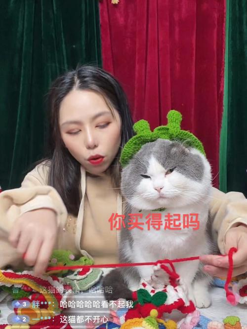 猫咪直播视频下载