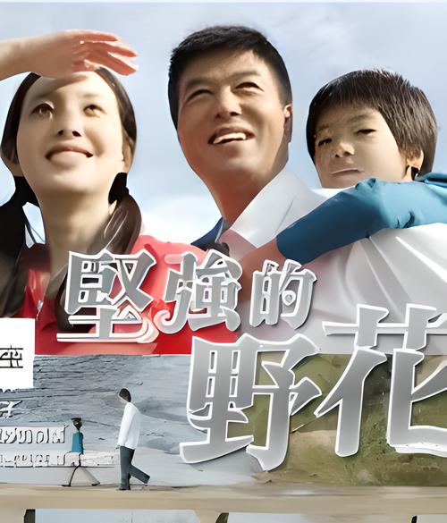 野花电影免费观看在线高清!