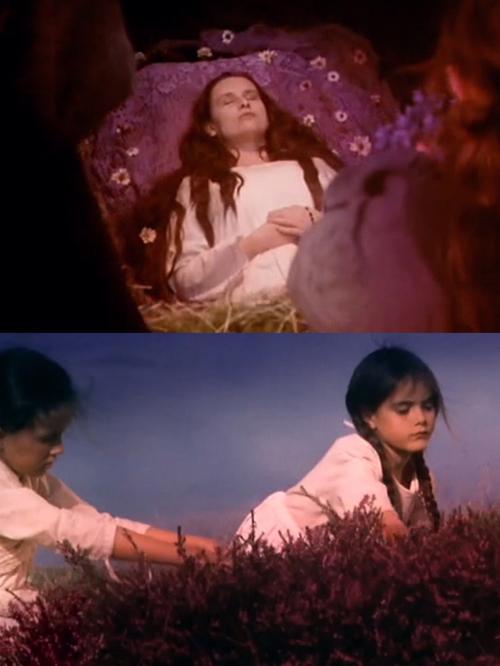 野花电影免费观看在线高清!