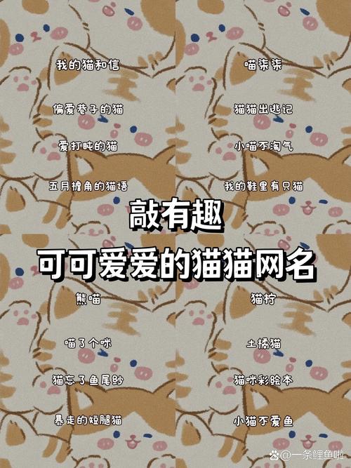 新版猫咪永久地域网名