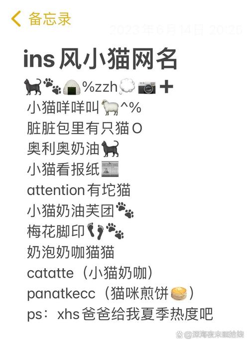 新版猫咪永久地域网名