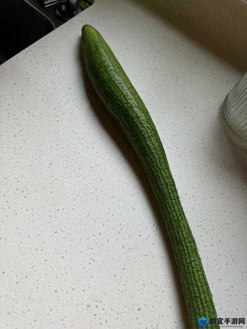 蕾丝榴莲秋葵向日葵丝瓜黄瓜免费