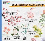 一天看三次花季