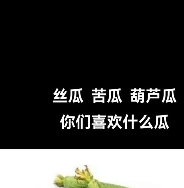 xrk1_3_0ark丝瓜无限观看手机免费版