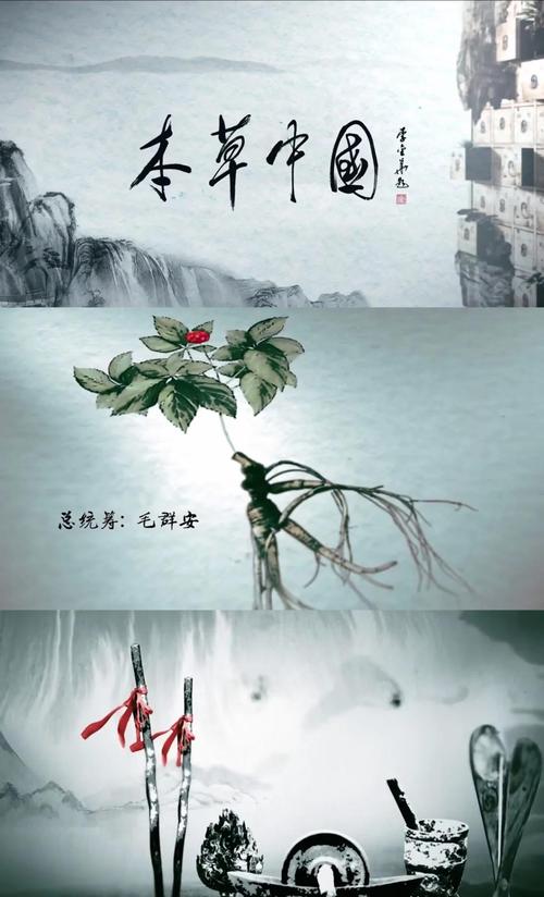 本草中国免费观看完整版在线