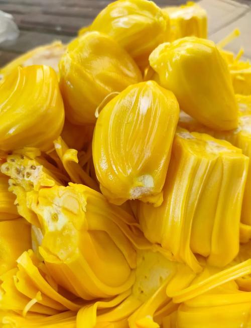 菠萝蜜视频在线观看免费播放高清