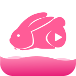 小白兔直播在线