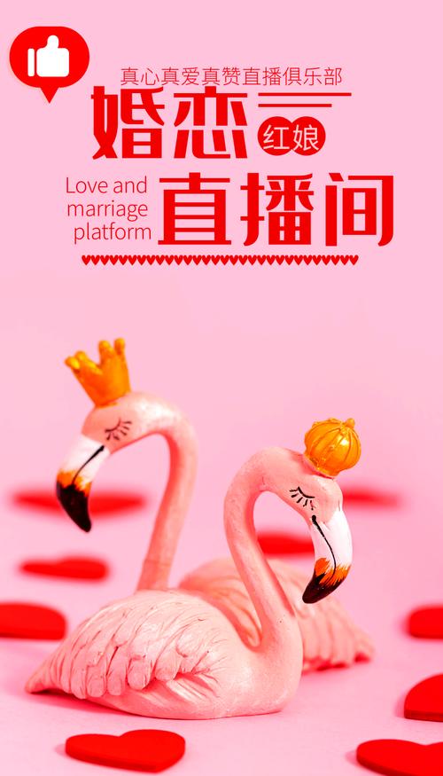 红娘直播app网址