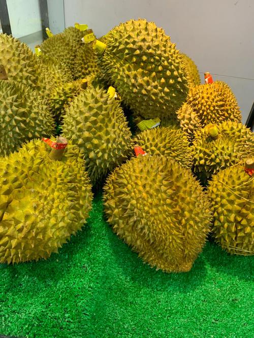 ll999榴莲aplaceholder官方版免费