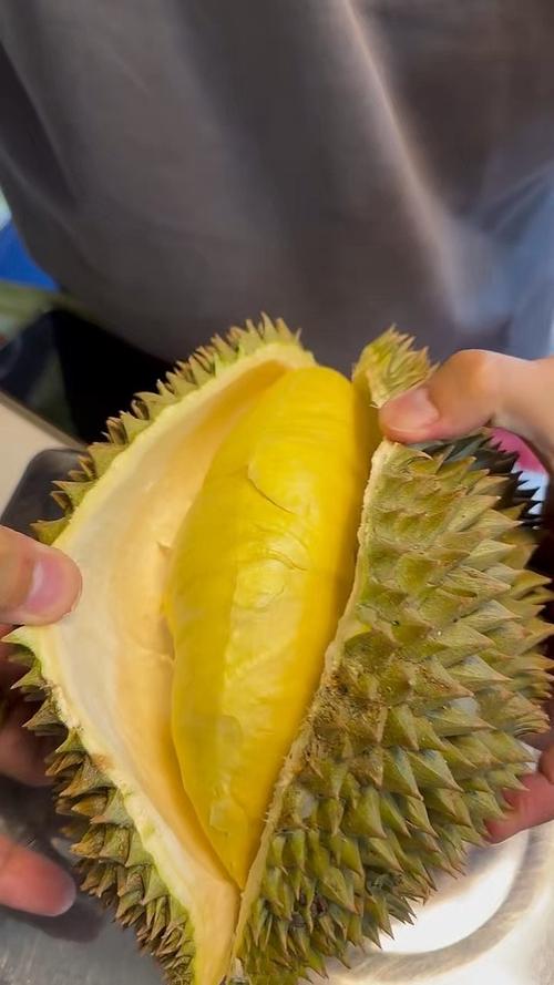 榴莲视频尊享版_7&hellip;3.1apk