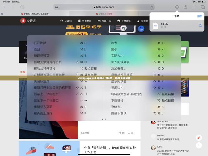 xkdspapk30隐藏入口