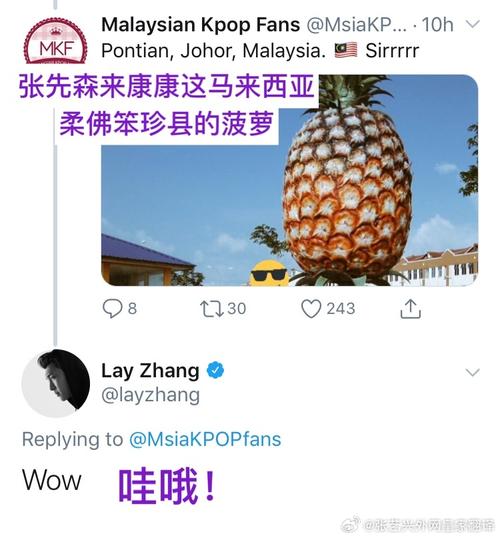 大菠萝app福引导前往打开