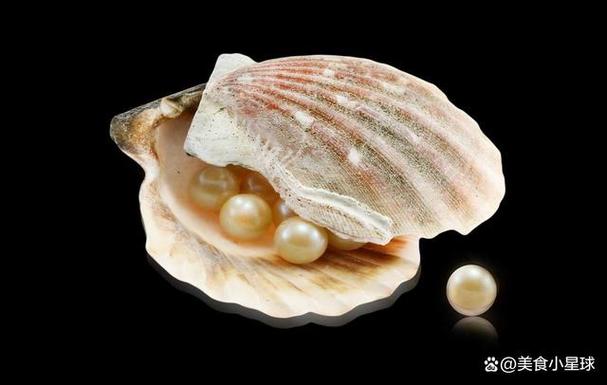 我想吃你扇贝里的水