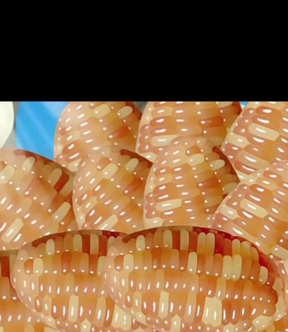 玉米app下载汅api免费新版