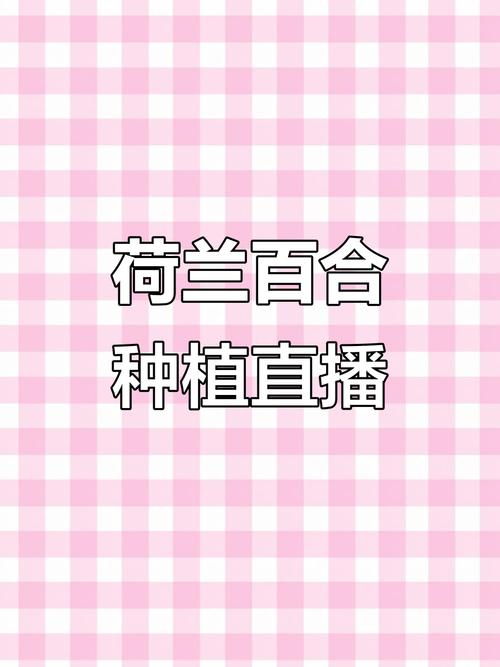 百合直播app官方免费