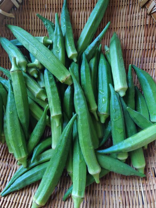 绿巨人干层浪樱桃秋葵黄瓜污解锁最新