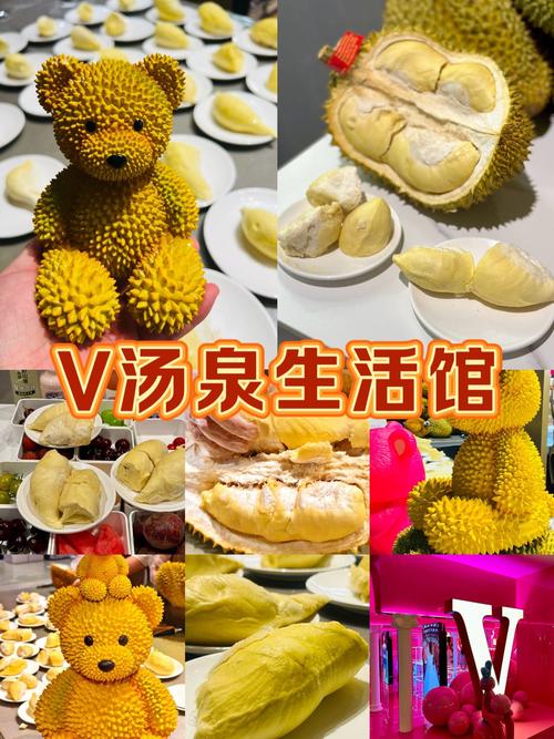 榴莲app下载汅api免费2021最新版