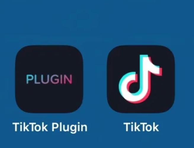 tiktok国际版海外精选视频