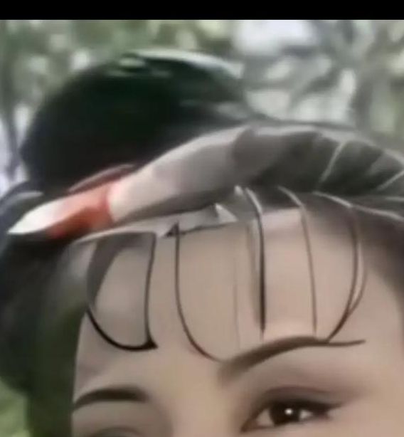 冯宝宝版武则天全集