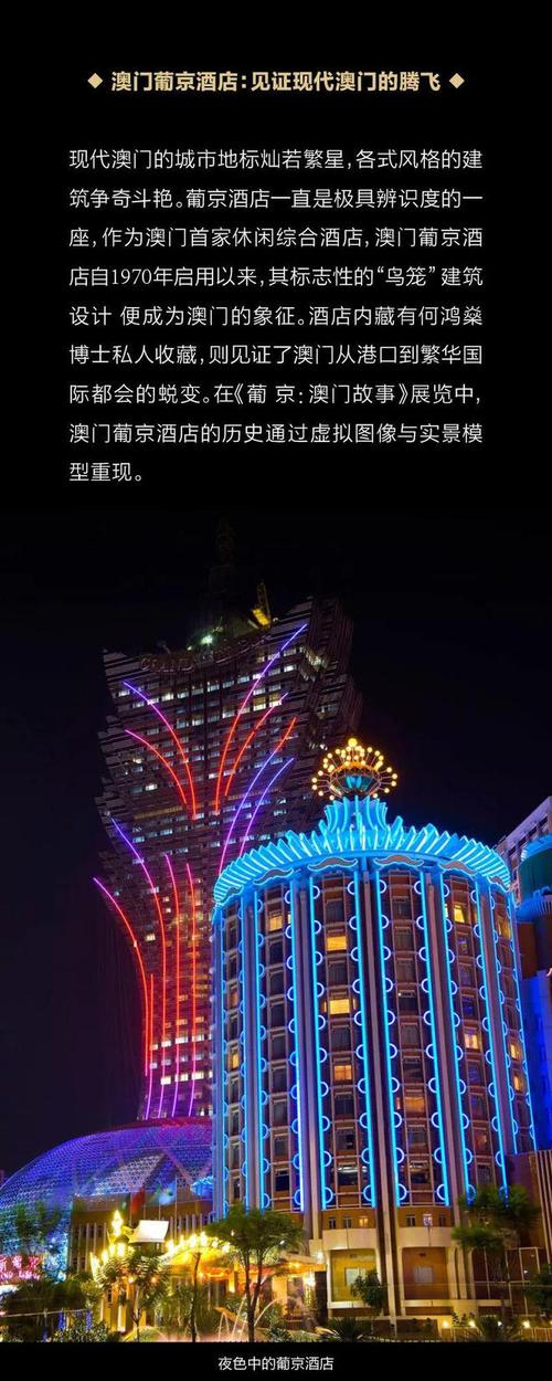 葡京在线无码免费视频