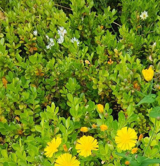 野花社区视频最新资源6