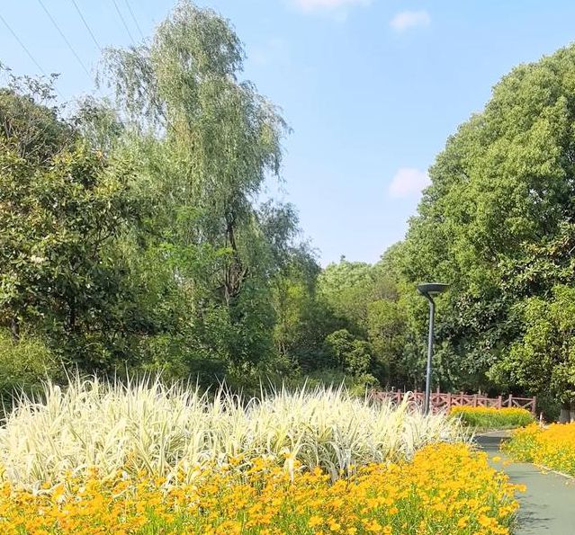 野花社区视频最新资源6