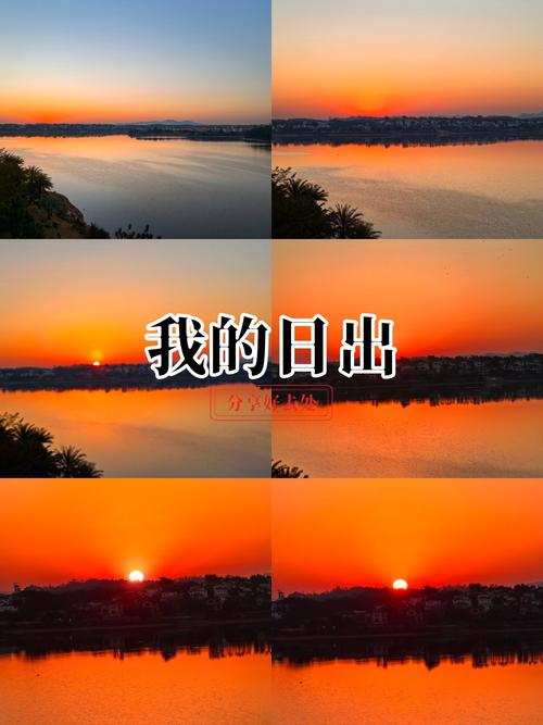 日出视频app下载