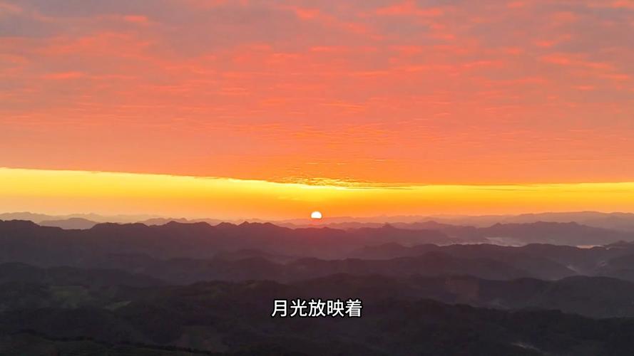 日出视频app下载