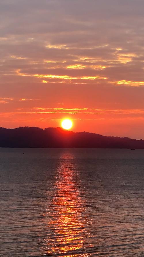 日出视频app下载