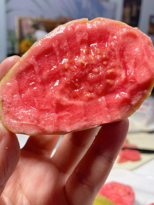 芭乐榴莲草莓最新版