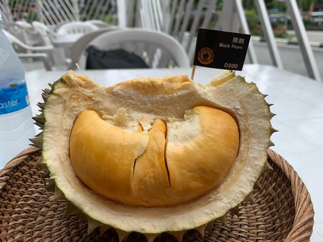 榴莲.combo2.0深夜释放自己无限苹果版